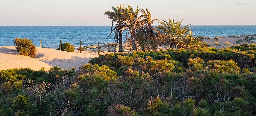 From Santa Pola to La Mata