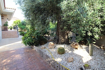 Villa individuelle avec piscine et barbecue dans le centre d'elche in Maisons de Mer