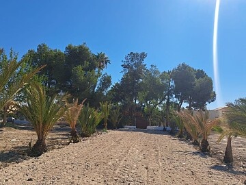 Villa en orihuela  in Maisons de Mer