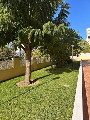 Appartement à san juan playa in Maisons de Mer